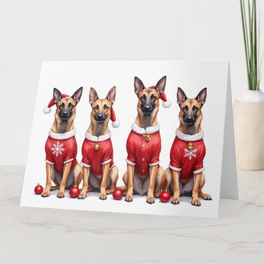 Belgian Malinois Christmas Dress Santa Hat カード (正面)