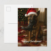 Belgian Malinois Eaten Santa Christmas postcard シーズンポストカード (正面/裏面)