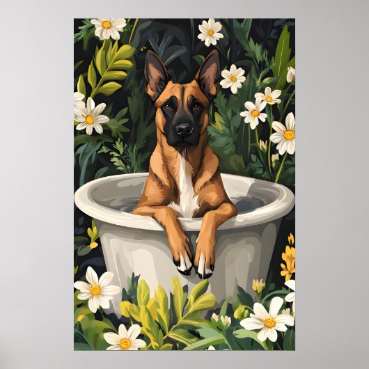 Belgian Malinois In Bathtub Poster, Funny Dog ポスター (正面)