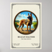 Belgian Malinois Zoology Series ポスター (正面)