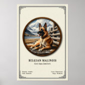 Belgian Malinois Zoology Series ポスター (正面)