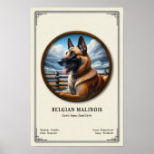 Belgian Malinois Zoology Series ポスター (正面)