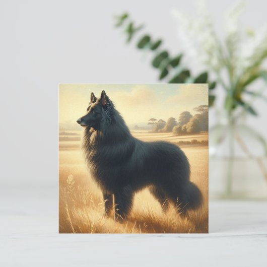Belgian Sheepdog カード (スタンド正面)