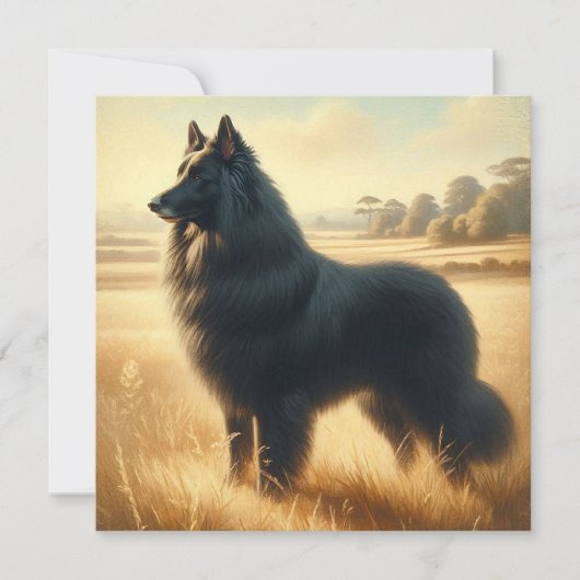 Belgian Sheepdog カード (正面)