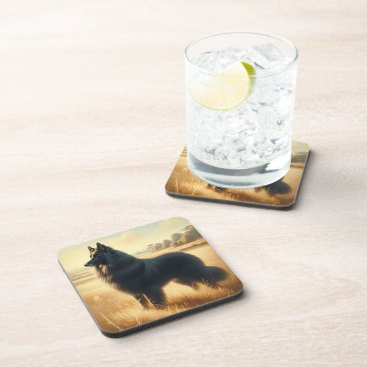 Belgian Sheepdog コースター (右側)