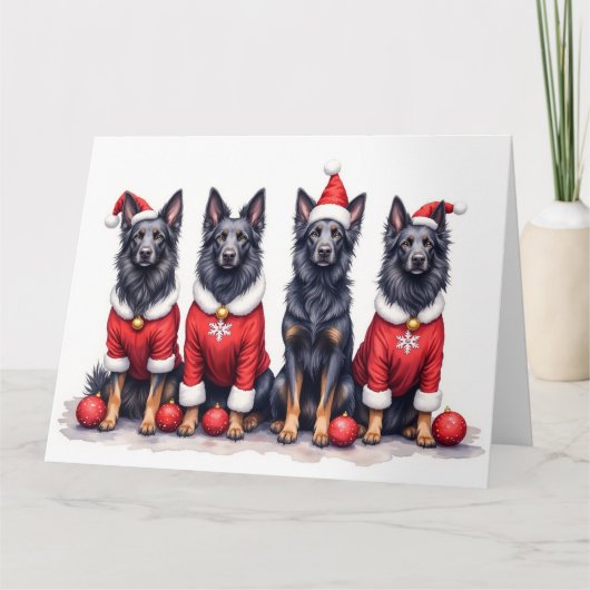 Belgian Shepherd Christmas Dress Santa Hat カード (正面)