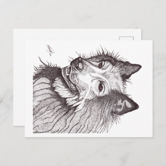 BELGIAN SHEPHERD GROENENDAEL ポストカード (正面/裏面)