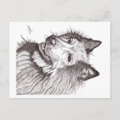 BELGIAN SHEPHERD GROENENDAEL ポストカード (正面)