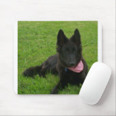Belgian_Shepherd_Groenendael_puppy マウスパッド (マウス)