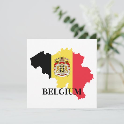 Belgium Silhouette, flag, (スタンド正面)