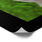 Believe Pug Frog Poster ポスター (角)