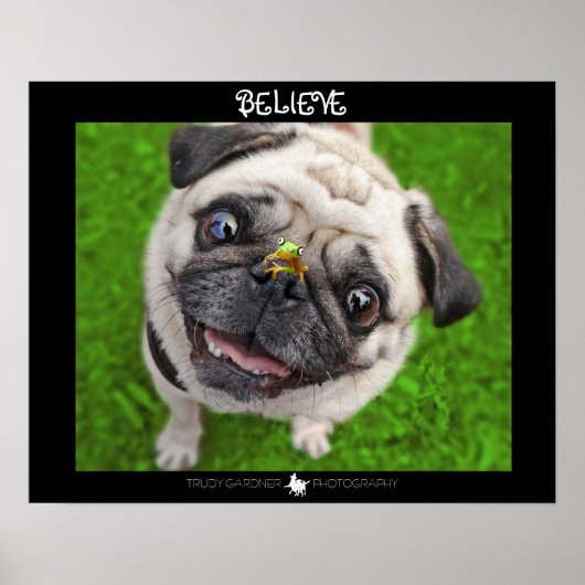 Believe Pug Frog Poster ポスター (正面)