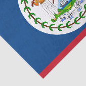 Belize fashion decor, Belize Flag tissue paper 薄葉紙 (詳細)
