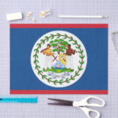 Belize fashion decor, Belize Flag tissue paper 薄葉紙 (クラフト)