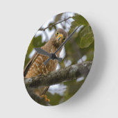 Belizean美しい：道端ホーク写真 ラウンド壁時計 (傾斜)