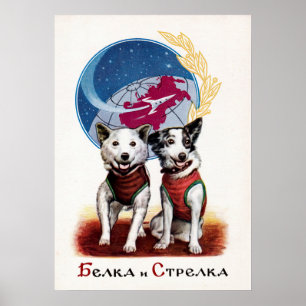 Belka and Strelka、宇宙犬 – ソ連のポスター ポスター