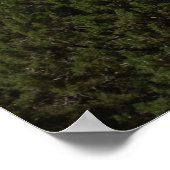 Bell Rock inセドナAZ 087 ポスター (角)