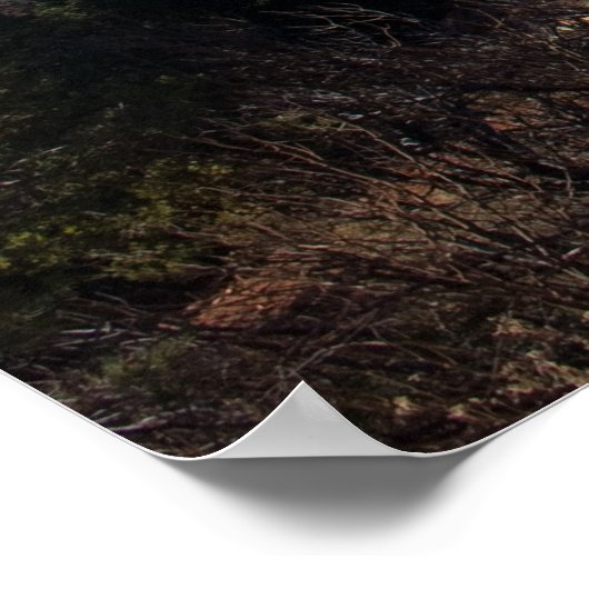 Bell Rock Trail 2065 ポスター (角)