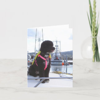 Bellaおよび犬キャッチャー カード