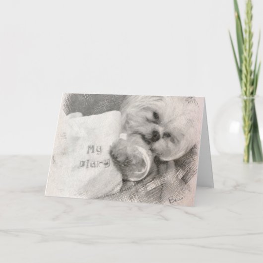 Bellaの挨拶状 カード (正面)