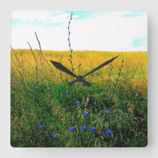 Bellaの青チコリー スクエア壁時計 (正面)
