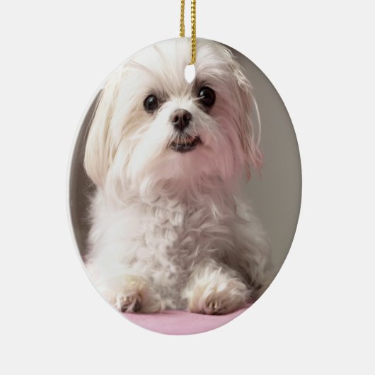 Bellaはマルタのオーナメントを見に行こう セラミックオーナメント (右)