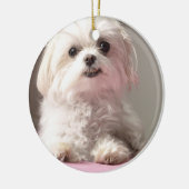 Bellaはマルタのオーナメントを見に行こう セラミックオーナメント (左)