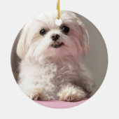 Bellaはマルタのオーナメントを見に行こう セラミックオーナメント (裏面)