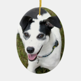 Bella救助犬 セラミックオーナメント