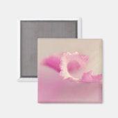 Bella Rosa マグネット (正面/裏面)