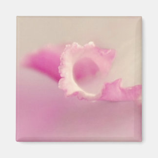 Bella Rosa マグネット