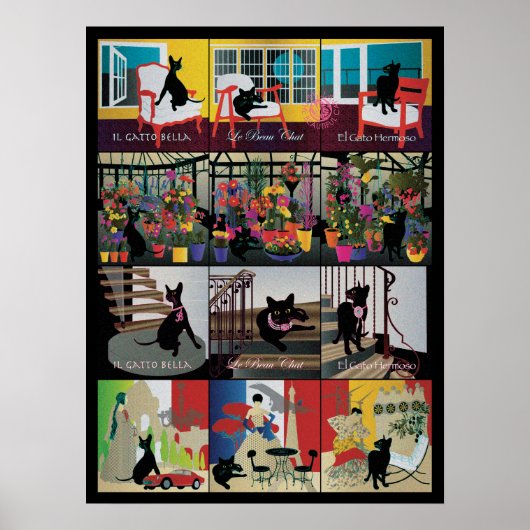 Bella: The Beautiful Cat 18"x24"のポスター ポスター (正面)