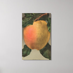 Belleflower AppleのフルーツのChromoの石版 キャンバスプリント