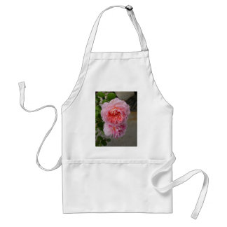 Belles Roses de Brantomee Apron スタンダードエプロン