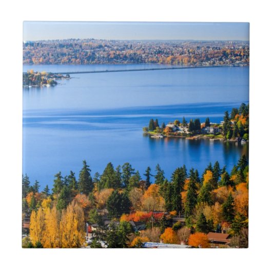 Bellevueの秋の素晴しい色 タイル (正面)