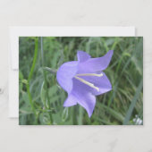 Bellflower シーズンカード (正面)