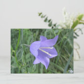 Bellflower シーズンカード (スタンド正面)