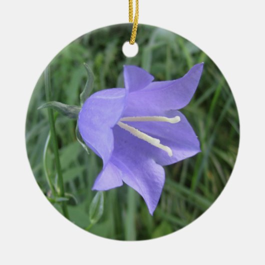 Bellflower セラミックオーナメント (正面)