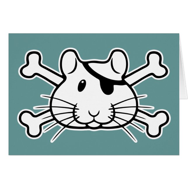 Bellinghamの海賊1 (正面横)