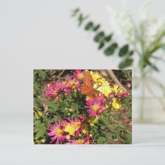 Bellingrathの庭の蝶 ポストカード (スタンド正面)