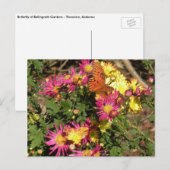 Bellingrathの庭の蝶 ポストカード (正面/裏面)