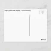 Bellingrathの庭の蝶 ポストカード (裏面)