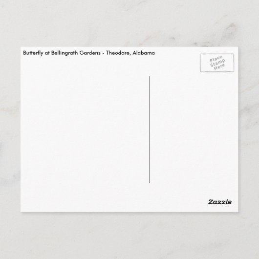 Bellingrathの庭の蝶 ポストカード (裏面)