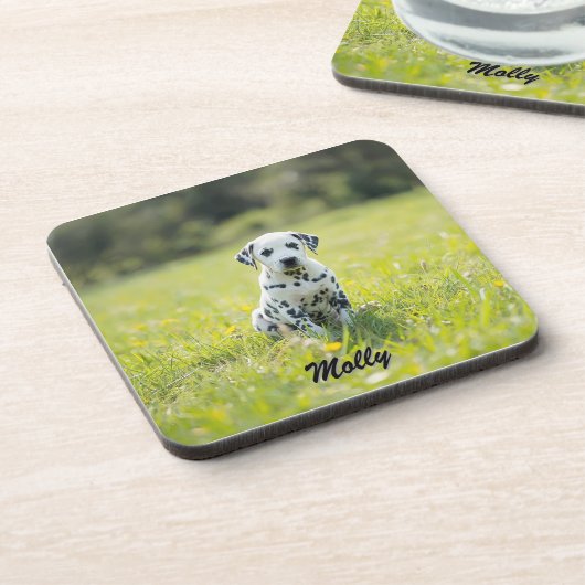 Beloved Dalmatian Personalized Coaster Set コースター (左側)