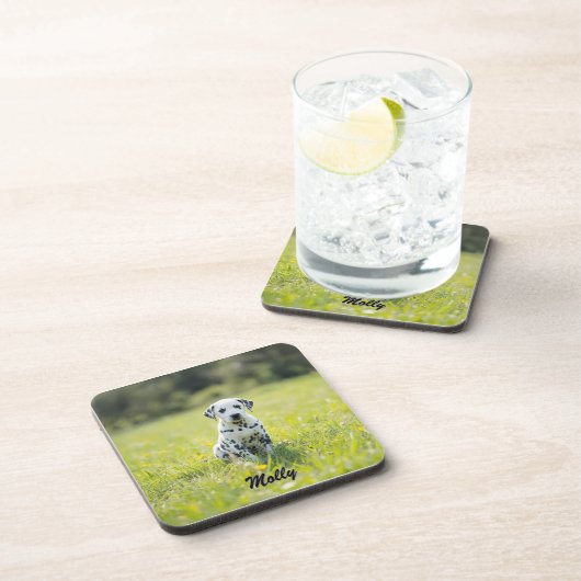 Beloved Dalmatian Personalized Coaster Set コースター (右側)