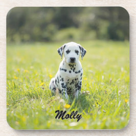 Beloved Dalmatian Personalized Coaster Set コースター