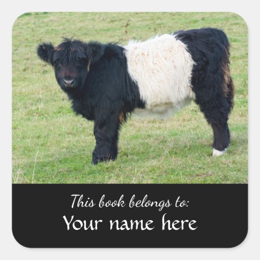 Belted Galloway Calf「この本は…」に属している。 Sq スクエアシール (正面)