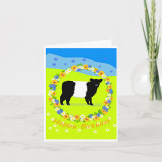 Belted Galloway calf birthday card サンキューカード