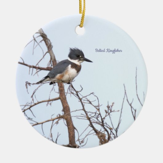 Belted Kingfisher Bird Ornament  セラミックオーナメント (正面)