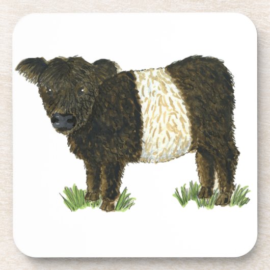 「Beltie」ベルトを付けられたギャロウェー コースター (正面)